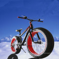 China High Quality Hotsale OEM Fat Tire Bike Fat Bike
